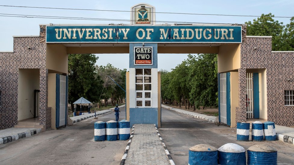 University of Maiduguri's medical courses